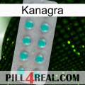 Kanagra 28